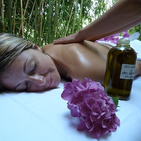 Villa Campestri Olive Oil Resort Vicchio Esterno foto