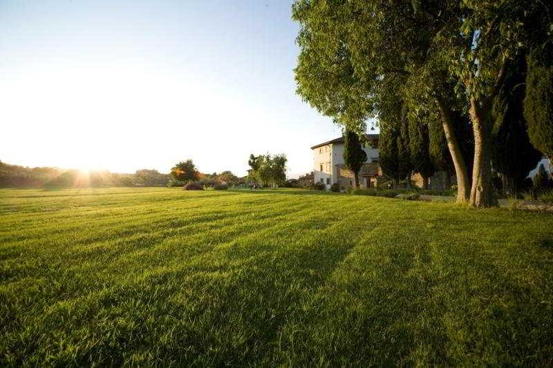 Villa Campestri Olive Oil Resort Vicchio Esterno foto