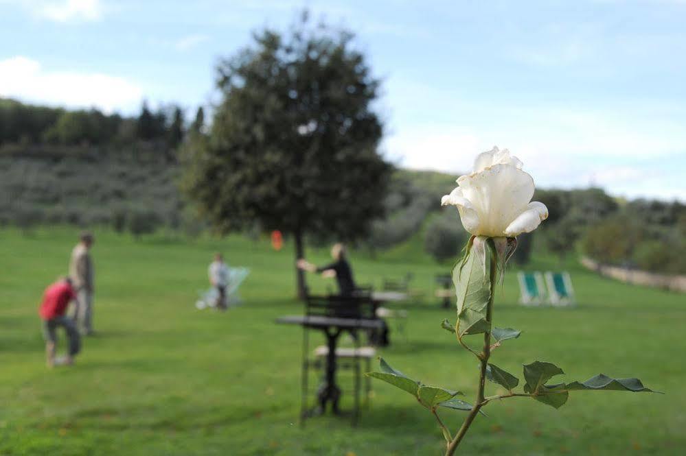 Villa Campestri Olive Oil Resort Vicchio Esterno foto